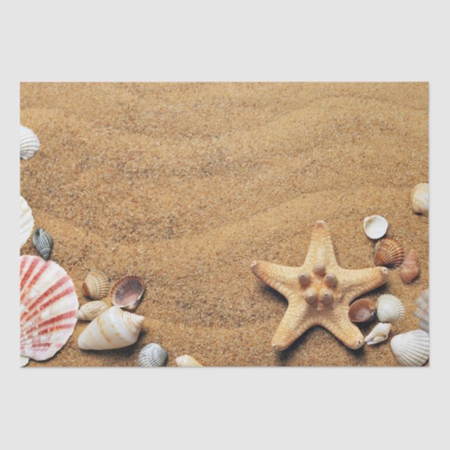 Papel De Seda Praia de Seashells Holiday (Frente )
