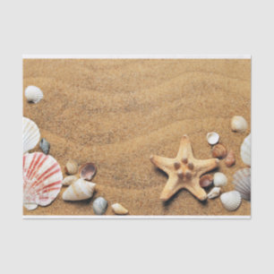Papel De Seda Prateleiras de areia