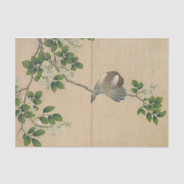 Papel De Seda Preening Bird por Zhang Ruoai (Frente )