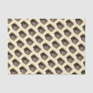 Papel De Seda Preto e Tan de Pomeranian que pintam a arte