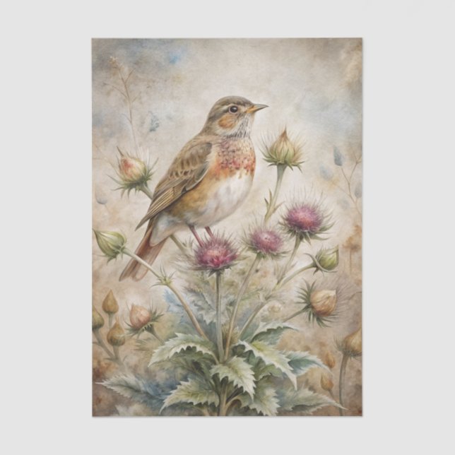 Papel De Seda Pretty Bird Perched on Purple Thistle Flowers (Frente )