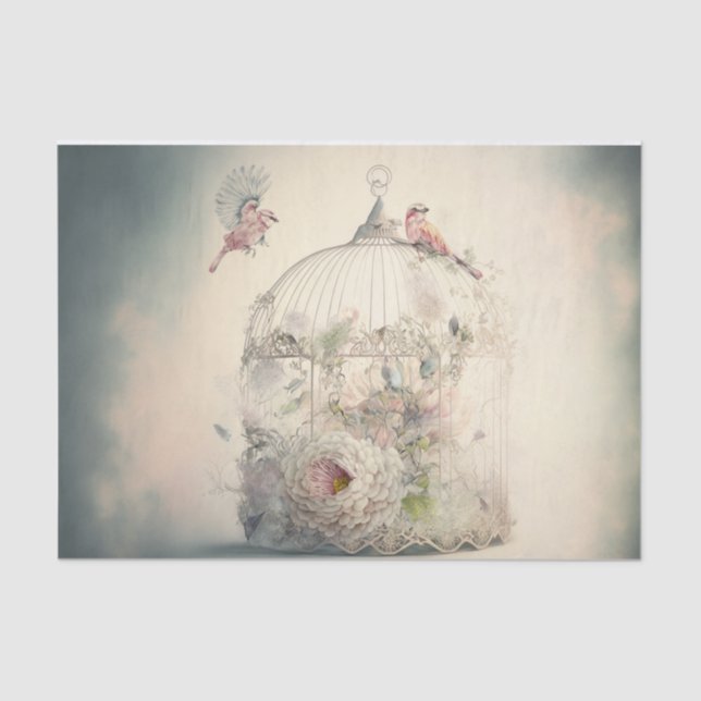 Papel De Seda Primavera Bird Cage (Frente )