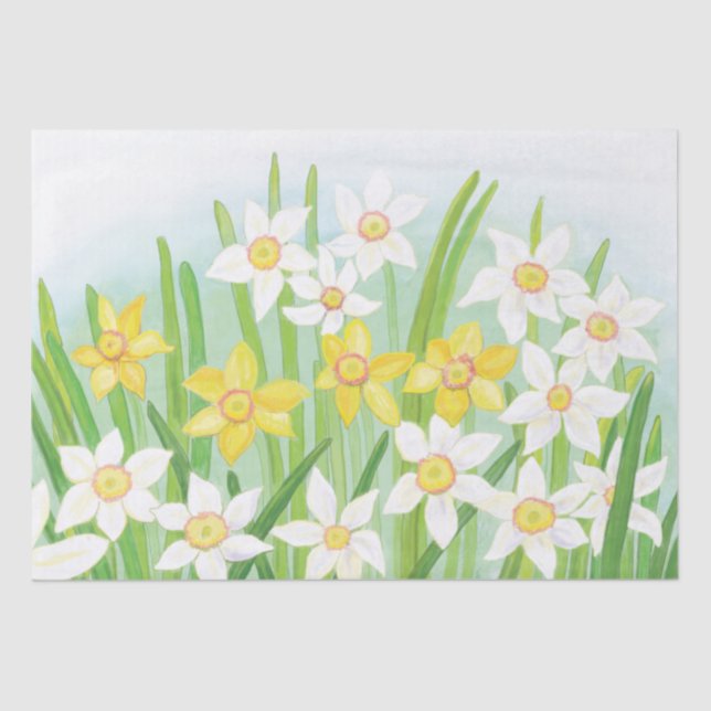 Papel De Seda Primavera Daffodils (Frente )