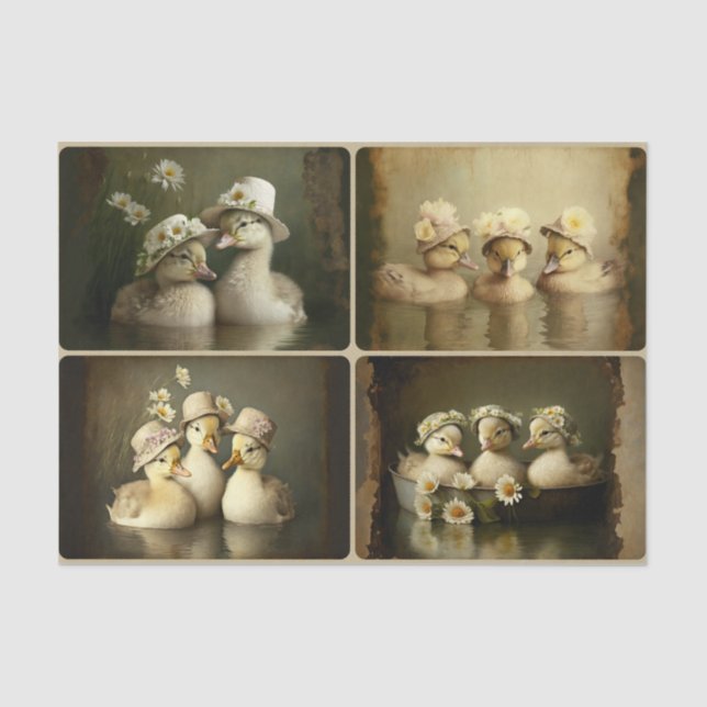 Papel De Seda Primavera Duckets (Frente )