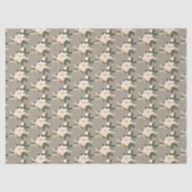 Primavera Magnolia Buquê Flor