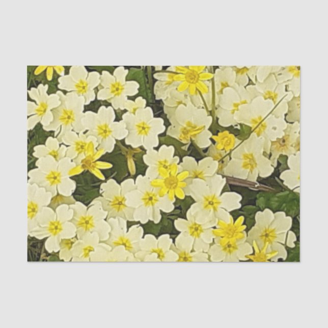 Papel De Seda Primavera Primrose (Frente )
