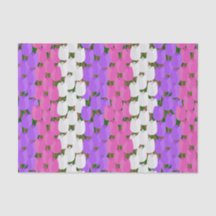 Primavera Tulip Field