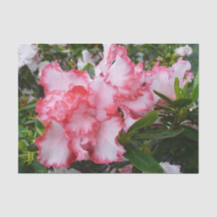 Papel De Seda Primavera vermelho e branco dobro das azáleas