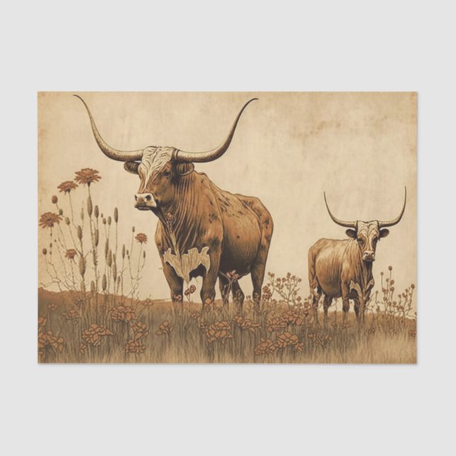 Papel De Seda Primitivo Texas Longhorns (Frente )
