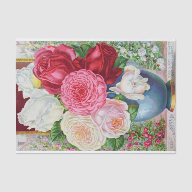 Papel De Seda Princesa Bonnie e Hardy Rosa Antiquado Impressão (Frente )