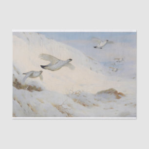 Papel De Seda Ptarmigan na plumagem de inverno, voando através d