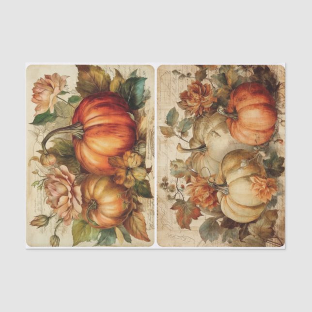 Papel De Seda Pumpkins Bonito bonito (Frente )