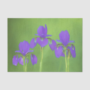 Papel De Seda Púrpura Iris - Arte Flor Original