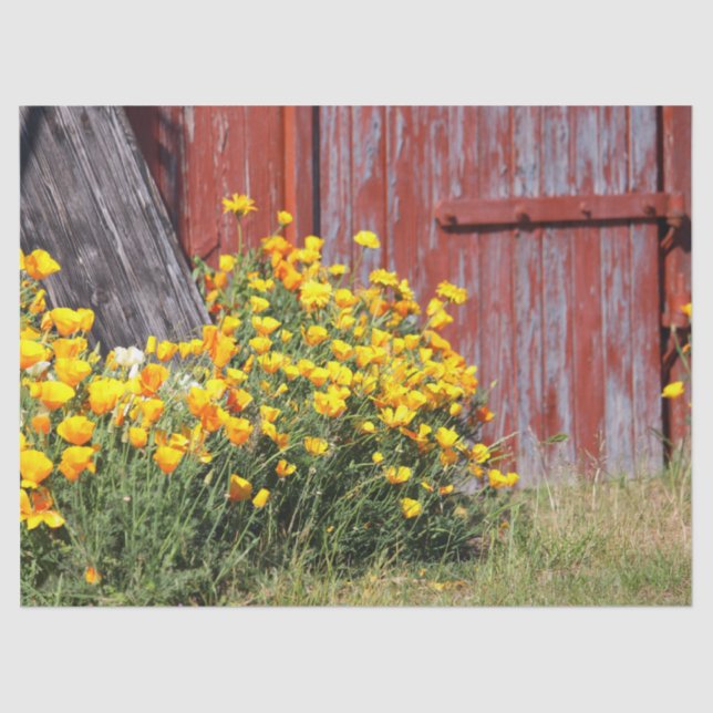 Papel De Seda Que lindo! Uma rajada de flores amarelas e uma toc (Frente )