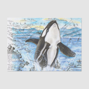Papel De Seda Quebrando Mapa Antigo da Orca