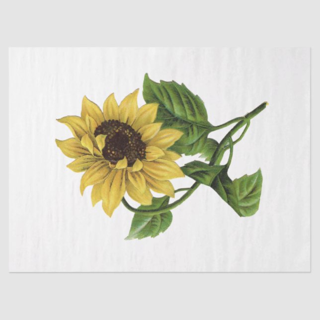 Papel De Seda Queen Bee Series Design 66 (Frente )