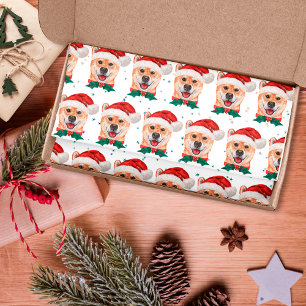 Papel De Seda Raça de Cachorro Shiba Inu Estrelas de Natal
