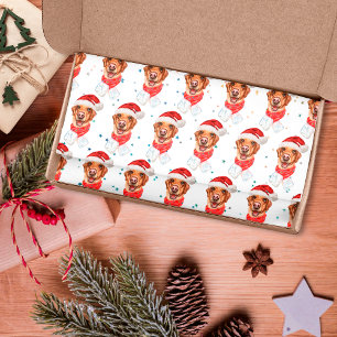 Papel De Seda Raça de Cão Labrador Natal