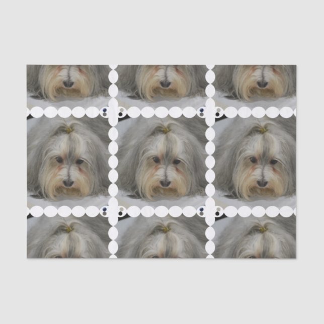 Papel De Seda Raça do cão de Havanese (Frente )