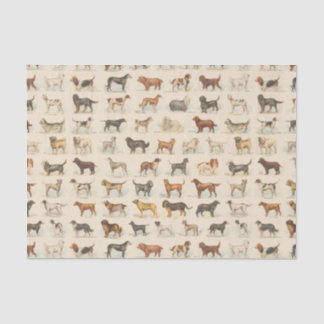 Papel De Seda Raças De Cães Vintage Patteradas