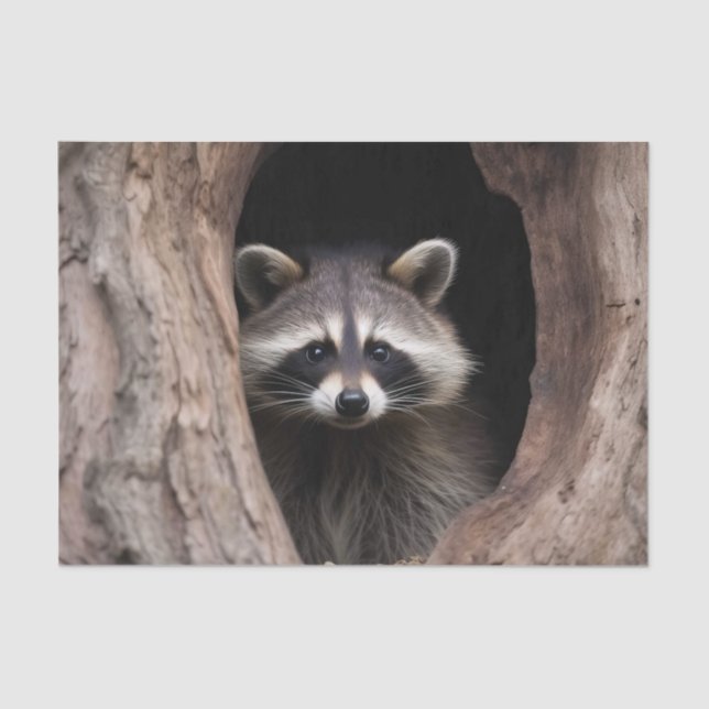 Papel De Seda Racoon na Caverna das Árvores (Frente )
