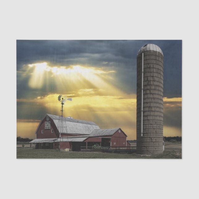 Papel De Seda Raios Sol Saindo em Camarões Vermelhos Após Tempes (Frente )