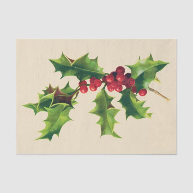 Papel De Seda Ramo bonito Vintage Holly (Frente )