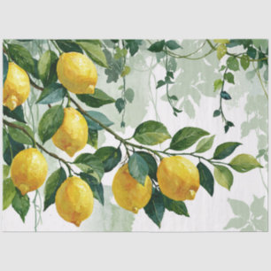 Papel De Seda Ramo de limão aquarela minimalista