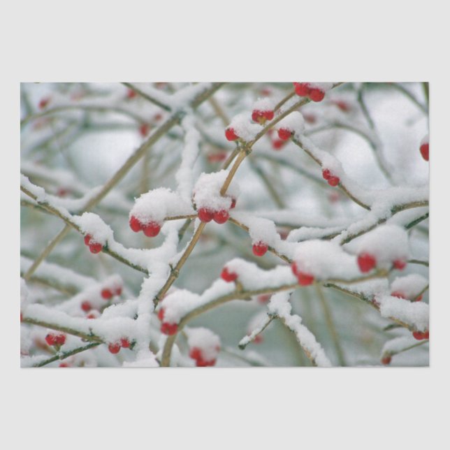 Papel De Seda Ramos de Inverno com Bagas Vermelhas e Neve (Frente )