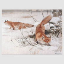 Raposas Vermelhas na Neve de Inverno (por Wilhelm