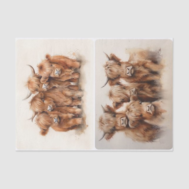 Papel De Seda Recolha de terras altas (Frente )