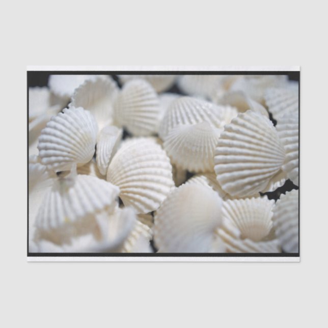 Papel De Seda Recompensa dos escudos (Frente )