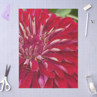 Papel De Seda Red Zinnias Flowers