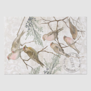 Papel De Seda Redpoll Bird Nature Decoupage Paris Vintage