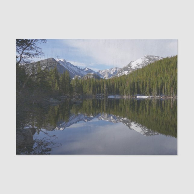 Papel De Seda Reflexo do Bear Lake II (Frente )
