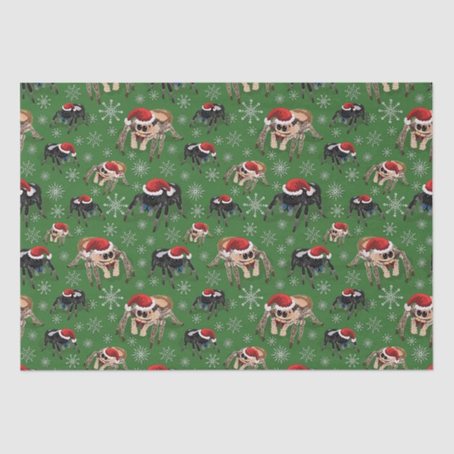 Papel De Seda Regal Jumping Spider Phiddipus Regius Holiday Moss (Frente )