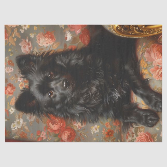 Papel De Seda Regal Schipperke Dog Vintage Decoupage (Frente )
