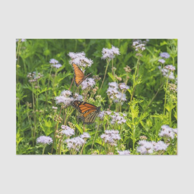 Papel De Seda Rei e rainha (Frente )