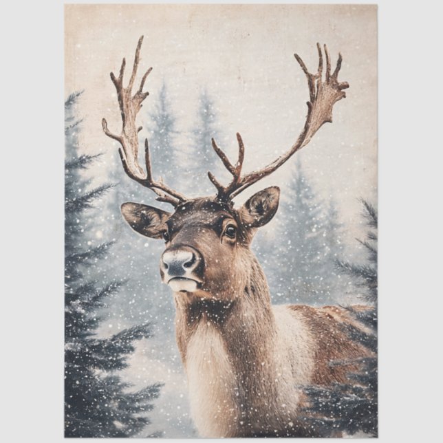 Papel De Seda Reindeer Majestoso na Nuvem de Floresta Neve (Frente )