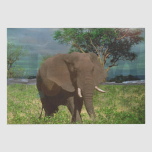Papel De Seda "Resistência Serene: O Revestimento do Elefante Bu