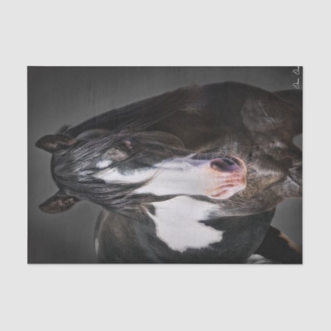 Papel De Seda Retrato de Cavalo II (Frente )