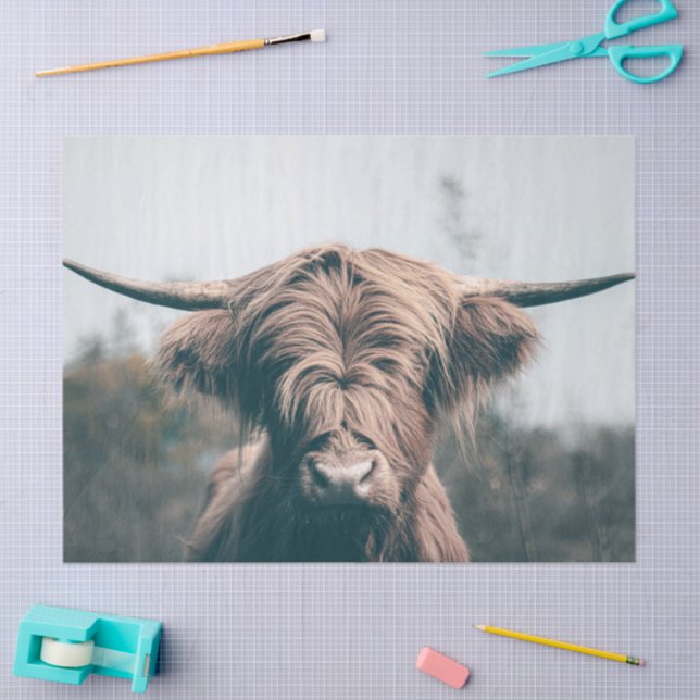 Papel De Seda Retrato de vaca das Terras Altas (Arte )