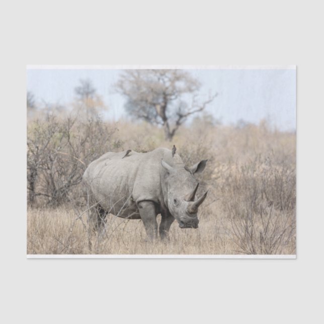Papel De Seda Rhino Branco (Frente )