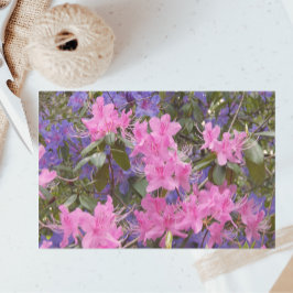 Papel De Seda Rhododendrons, cor-de-rosa e roxos,