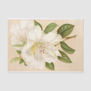 Papel De Seda Rhododendrum Sesterianum, Decoupage