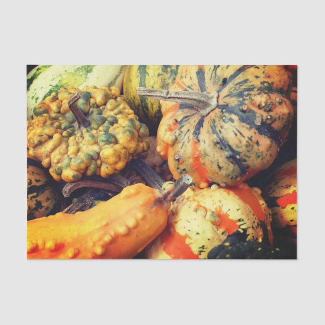 Papel De Seda Rico Colorido - Alças Fechar a Dissociação (Frente )