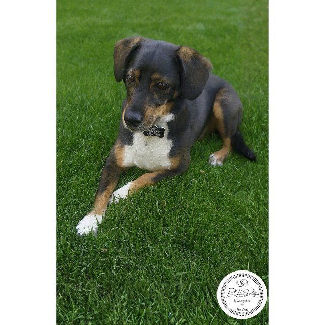 Papel De Seda Riley (Criador carregado)