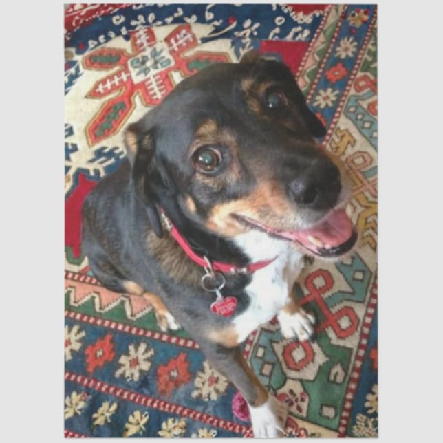 Papel De Seda Riley 2 (Frente )