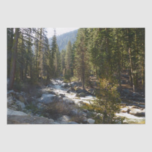 Papel De Seda Rio Kaweah no Parque Nacional de Sequoia