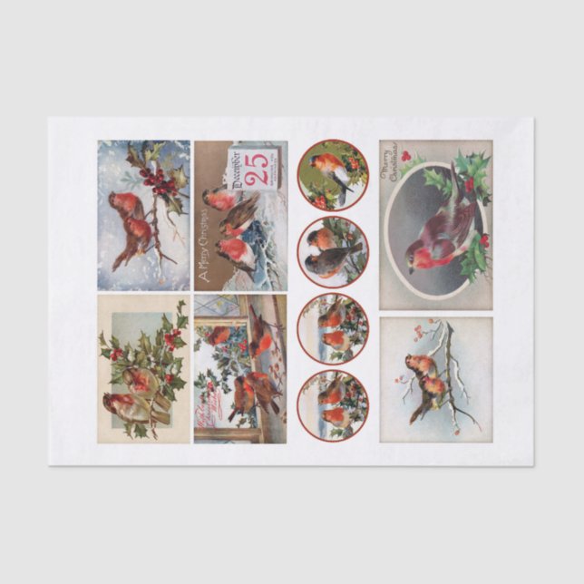 Papel De Seda Robin Bird Ephemera Fussy Cortes Genuínos (não AI) (Frente )